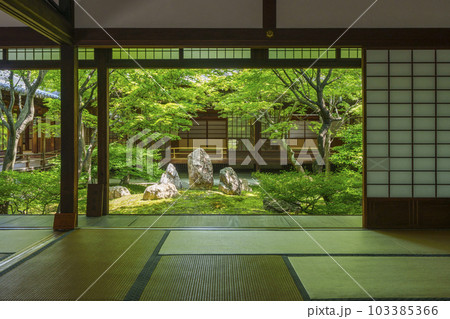 建仁寺　潮音庭　額縁庭園　新緑の季節（京都市東山区） 103385366
