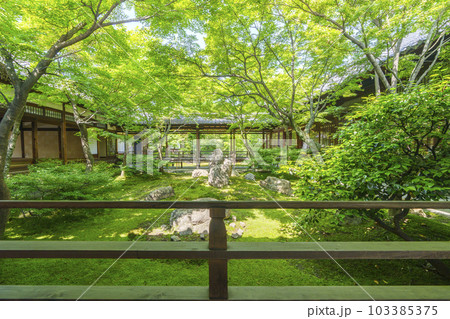 建仁寺　潮音庭　新緑の季節（京都市東山区） 103385375