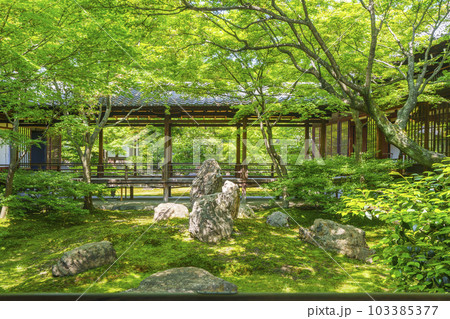 建仁寺　潮音庭　新緑の季節（京都市東山区） 103385377