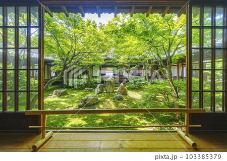 建仁寺　潮音庭　新緑の季節（京都市東山区） 103385379