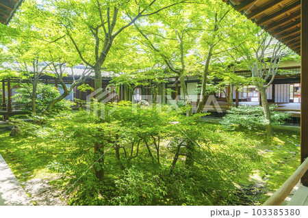 建仁寺 潮音庭 新緑の季節(京都市東山区) 建仁寺 潮音庭 新緑の季節(京都市東山区) 103385380