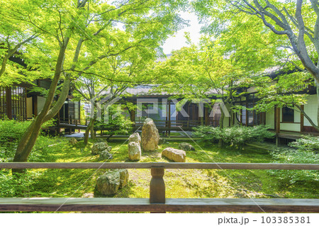 建仁寺　潮音庭　新緑の季節（京都市東山区） 103385381