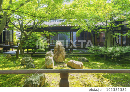 建仁寺 潮音庭 新緑の季節(京都市東山区) 建仁寺 潮音庭 新緑の季節(京都市東山区) 103385382