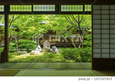 建仁寺 潮音庭 額縁庭園 新緑の季節(京都市東山区) 建仁寺 潮音庭 額縁庭園 新緑の季節(京都市東山区) 103385403