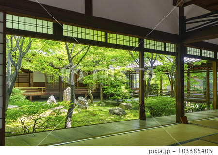 建仁寺　潮音庭　額縁庭園　新緑の季節（京都市東山区） 103385405