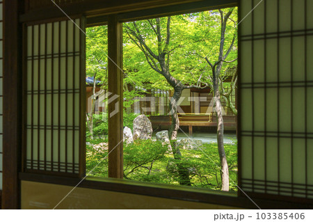 建仁寺 潮音庭 額縁庭園 新緑の季節(京都市東山区) 建仁寺 潮音庭 額縁庭園 新緑の季節(京都市東山区) 103385406
