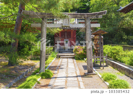 京都　建仁寺　楽神廟（明星殿）新緑の季節 103385432