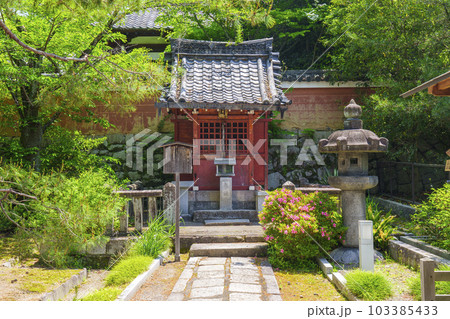 京都　建仁寺　楽神廟（明星殿）新緑の季節 103385433