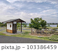 東屋と夕暮れの公園の風景 103386459