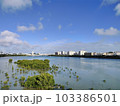 湖沼と都市の風景 103386501