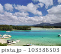 エメラルドグリーンの海と砂浜の風景 103386503