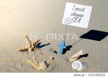 I NEED VITAMIN SEA text on paper greeting card in anchor paper holder and starfish seashell summer vacation decor. Sandy beach sun coast. Holiday concept postcard. Getting away 103386802