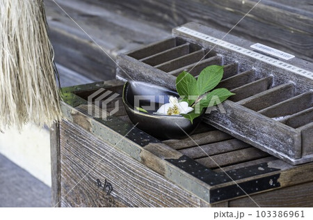 サラ「ようお参りくだしました」 103386961