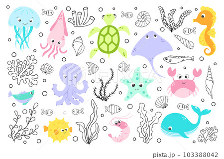 Vector cute fish and wild marine animals big collection in flat style. Colourful set of ocean and sea life 103388042