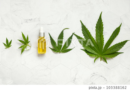 Dropper bottle with pipette near green cannabis leaves top view. Orgaic CBD oil Dropper bottle with pipette near green cannabis leaves top view. Orgaic CBD oil 103388162