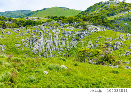 青空と新緑とカルスト大地 103388811