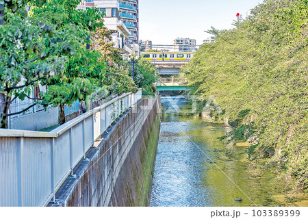 神田川四季の道 神田川四季の道 103389399