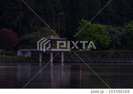 【静岡県】夜明け前の田貫湖 【静岡県】夜明け前の田貫湖 103390108