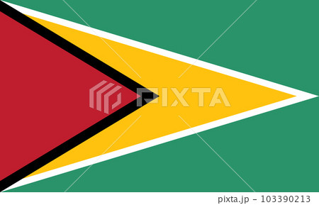 ガイアナ国旗 103390213