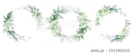 Luxury botanical wedding frame elements on white background. Set of circle shapes, wreaths of eucalyptus leaves, leaf branches. Elegant foliage design for wedding, cards, invitations, greetings. 103390220