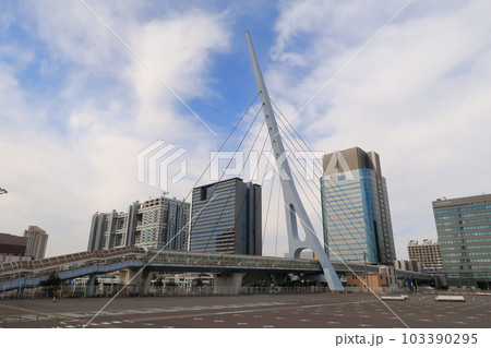 【港区】 お台場の風景 【港区】 お台場の風景 103390295