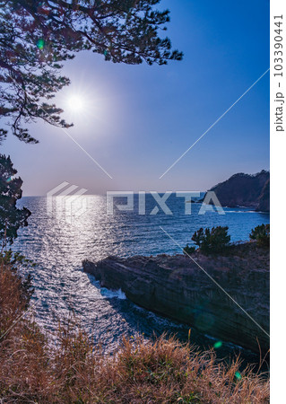 【静岡県西伊豆町】堂ヶ島の海岸 103390441