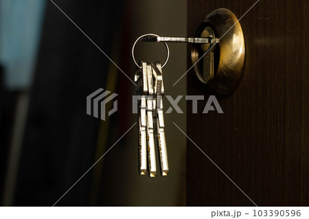 Bunch of keys sticks out of the door lock. Stainless steel keys protrude from a golden brass lock in a brown interior home door. Entrance door of the house with the keys in the copper lock. Close-up 103390596
