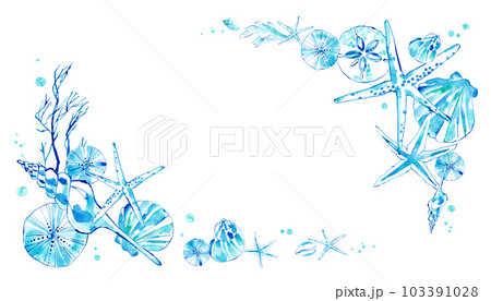 涼しげな貝殻の水彩イラスト。海をイメージした夏フレーム装飾。の