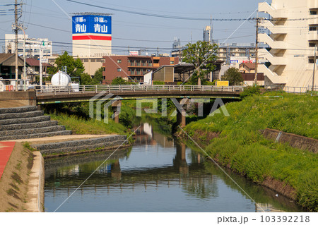 芝川橋 2023 芝川 103392218