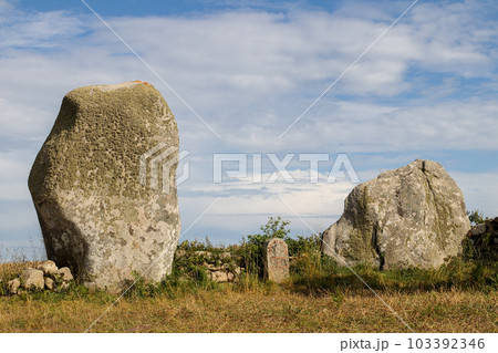 Menhirs and dolmen of the Vieux-Moulin - Old Mill 103392346