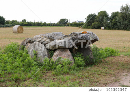 Dolmen of Kerangre - megalithic monument in Erdeven, Britany 103392347