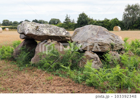 Dolmen of Kerangre - megalithic monument in Erdeven, Britany 103392348