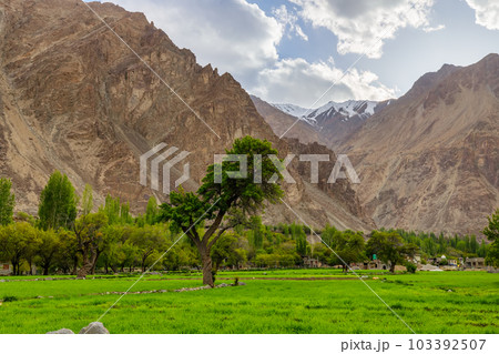 Turtuk a beautiful small village,Leh,Ladakh,northern India, 103392507
