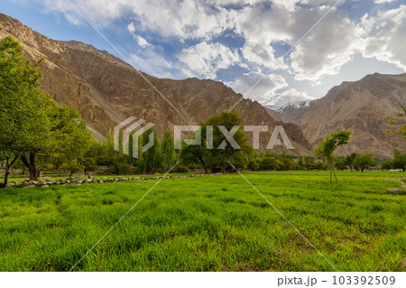 Turtuk a beautiful small village,Leh,Ladakh,northern India, 103392509