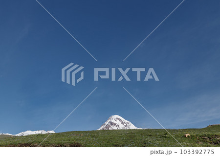 Karakoram Mountains  beautiful landscape,Turtuk a beautiful small village,Leh,Ladakh,northern India, 103392775