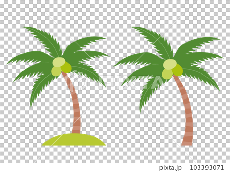 一套椰子樹插圖_3 一套椰子樹插圖_3 103393071