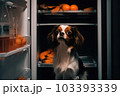 Domestic dog seeks relief from hot summer heat Domestic dog seeks relief from hot summer heat 103393339