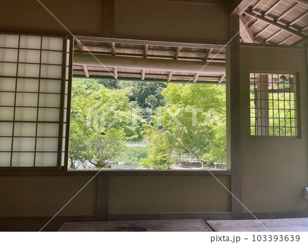 愛知県　香嵐渓の風景 103393639