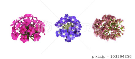 Set of colorful flowers isolated 103394856
