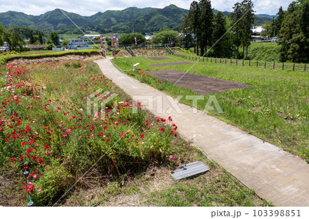 整備された名胡桃城址の公園　群馬県みなかみ町 103398851