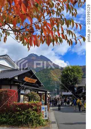 秋の湯の坪街道と由布岳 ( 大分県 由布市 ) 秋の湯の坪街道と由布岳 ( 大分県 由布市 ) 103399129