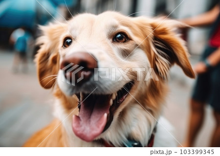 portrait of happy dog with tongue hanging out, looking playful and carefree, created with generative ai portrait of happy dog with tongue hanging out, looking playful and carefree, created with generative ai 103399345