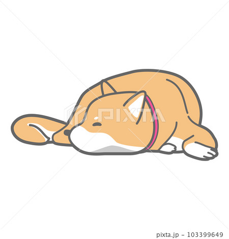 お昼寝中の柴犬のベクターイラスト 103399649