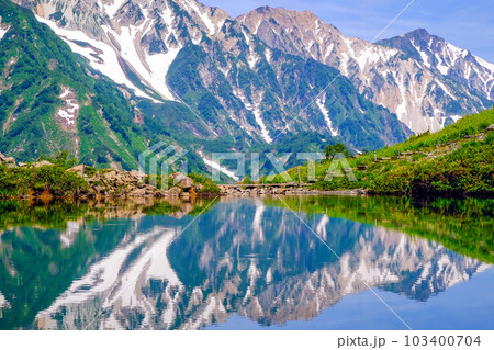 初夏の八方池と白馬三山 103400704