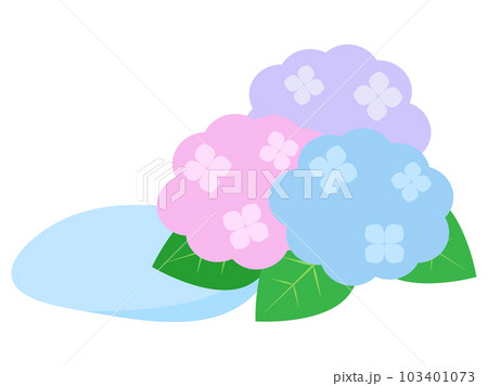 雨が降った後の水たまりと紫陽花のイラスト 雨が降った後の水たまりと紫陽花のイラスト 103401073