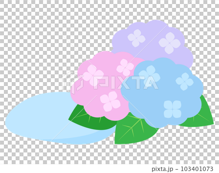 雨が降った後の水たまりと紫陽花のイラスト 雨が降った後の水たまりと紫陽花のイラスト 103401073