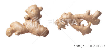 Ginger fall fly in mid air, fresh vegetable spice ginger falling. Organic fresh herbal ginger root head full length, close up texture. White background isolated freeze motion high speed shutter 103401293