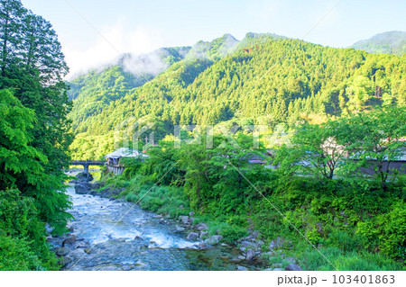 大芦川　古峯神社一の鳥居付近　新緑の風景　鹿沼市　 103401863