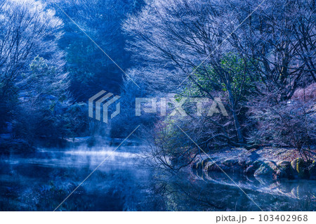 霧氷の森・湖水 イメージ 霧氷の森・湖水 イメージ 103402968