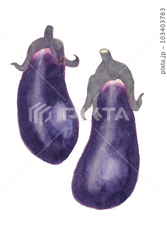 ナス　水彩 103403763